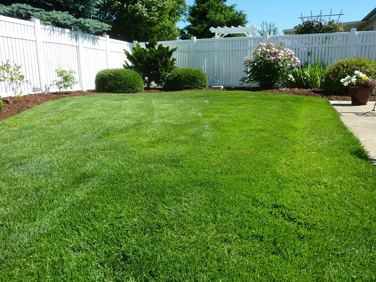 Back Yard Lawn Fertilizer