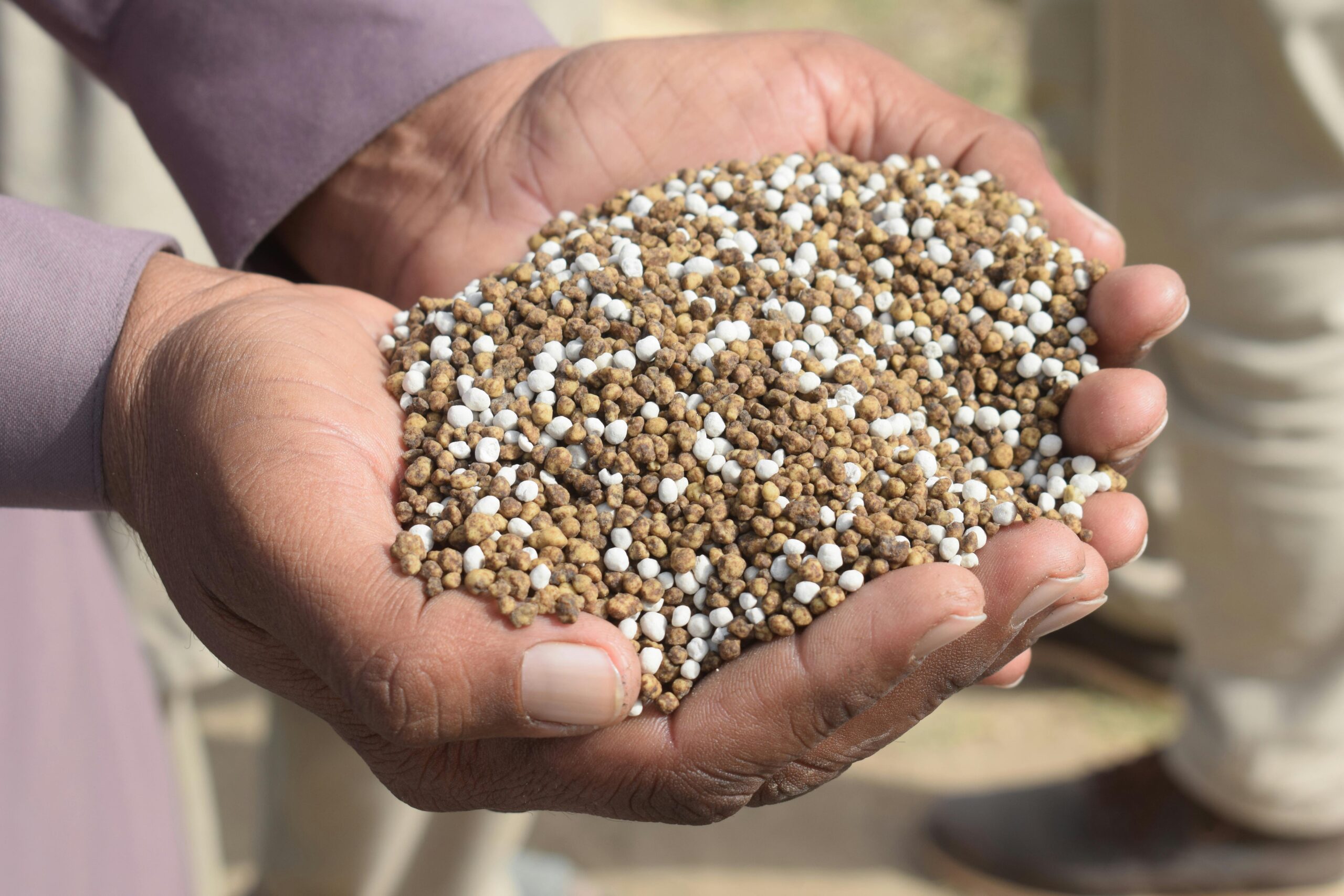 handful of granular fertilizer